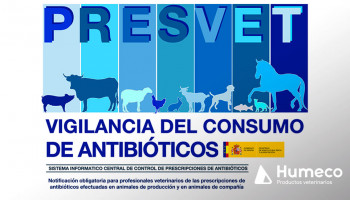 Obligación a partir del 2 de enero de 2025 de comunicar la prescripción de antibióticos a PRESVET para los animales de compañía