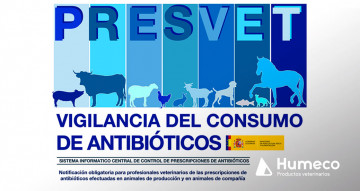 Obligación a partir del 2 de enero de 2025 de comunicar la prescripción de antibióticos a PRESVET para los animales de compañía