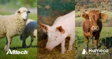 Conozca Alltech y las tecnologías nutricionales que utiliza para mejorar la salud de sus animales
