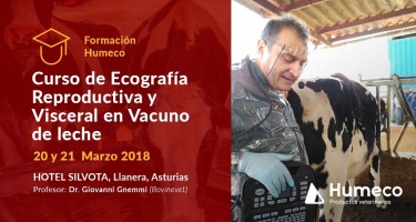 Cursos de Ecografía Veterinaria organizados por Humeco