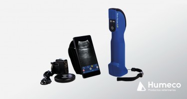 Duo-ScanGo, un ecógrafo para el control de gestación en un smartphone