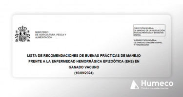 Buenas prácticas de manejo frente a la enfermedad hemorrágica epizoótica (EHE) en ganado vacuno