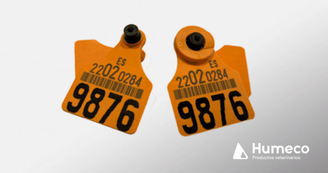 Medios de identificación oficial del ganado bovino