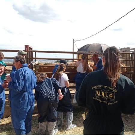 Disfruta de nuestros cursos especializados