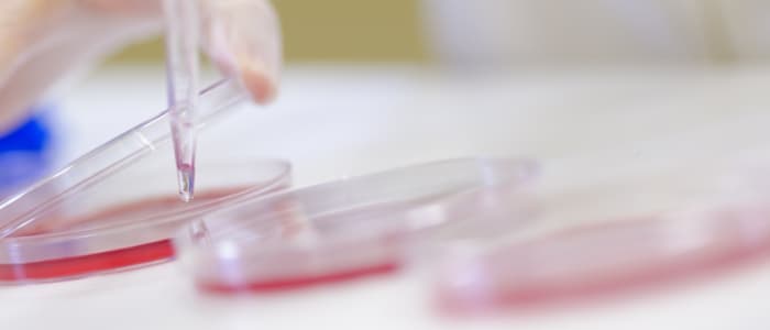 Investigamos sin pausa para que el campo de la reproducción animal continúe avanzando