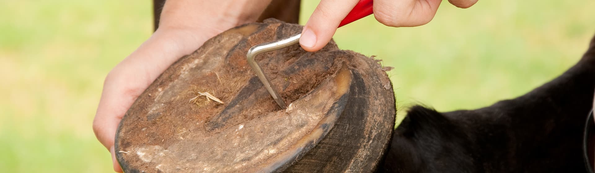 Default category header image