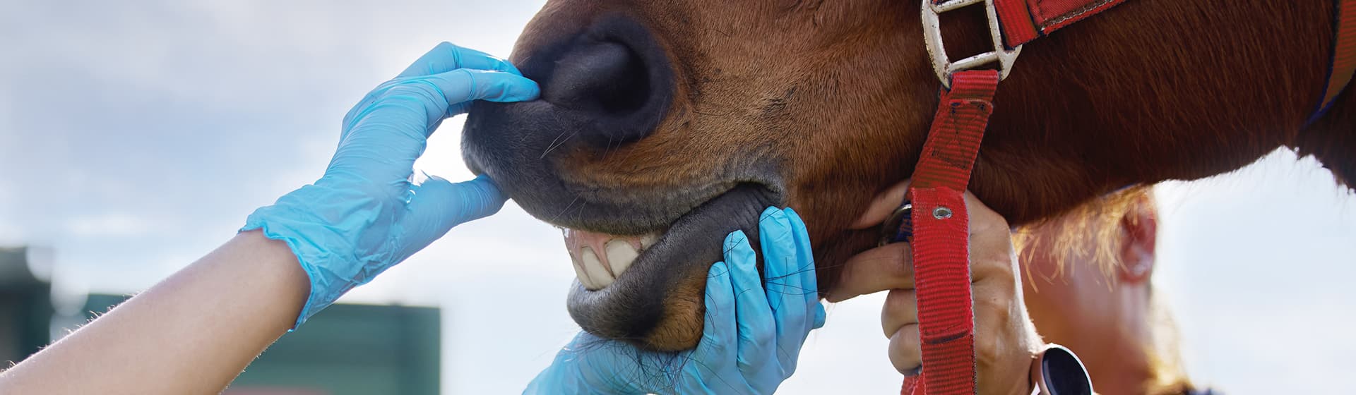 Default category header image