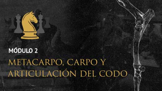 Módulo 2: Metacarpo, Carpo y articulación del codo