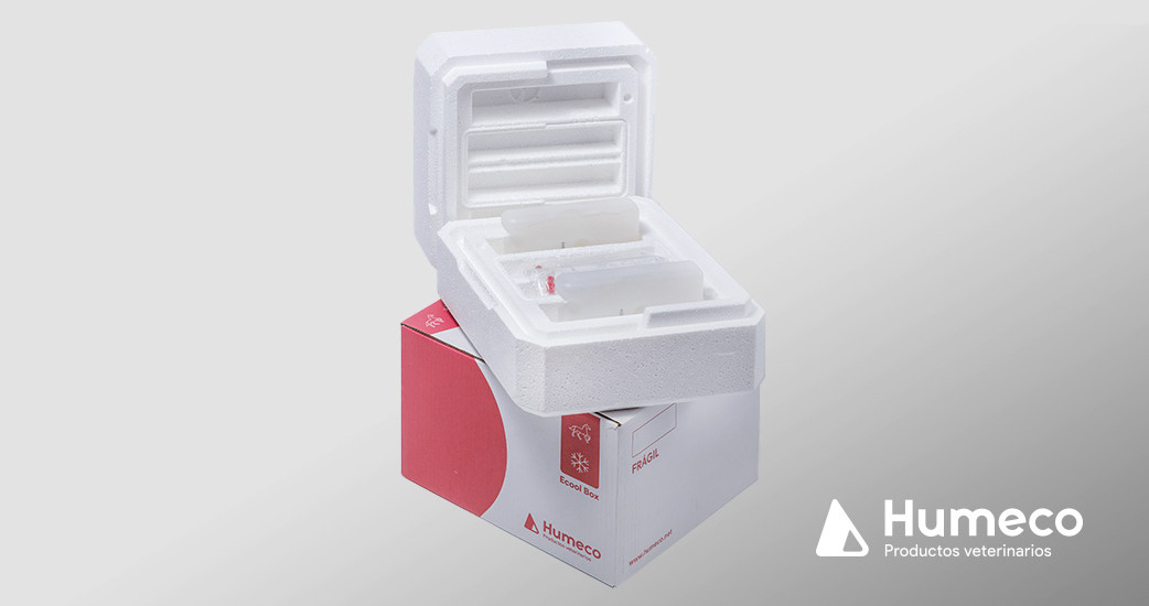 ECOOL Box, la caja de transporte eco-responsable para semen fresco equino