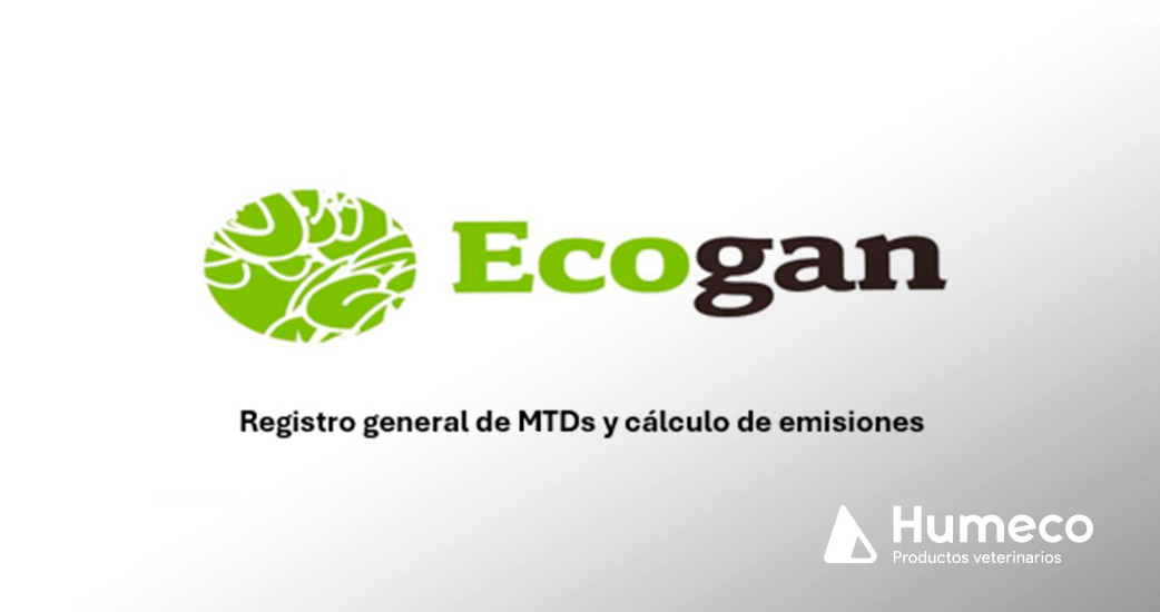 Novedades relevantes en la declaración de ECOGAN 2025