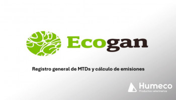 Novedades relevantes en la declaración de ECOGAN 2025