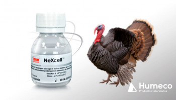 NeXcell, para una conservación prolongada del semen del pavo