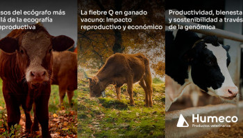 Último módulo para formarse en el aparato locomotor equino de la mano de Humeco