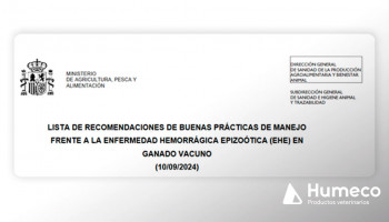 Buenas prácticas de manejo frente a la enfermedad hemorrágica epizoótica (EHE) en ganado vacuno