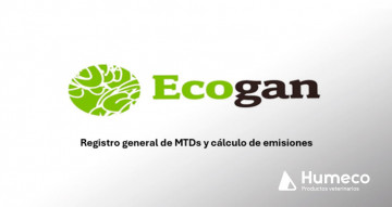 Novedades relevantes en la declaración de ECOGAN 2025