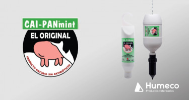 CAI-PAN®mint, la crema tonificante para el cuidado de la ubre