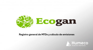 Novedades relevantes en la declaración de ECOGAN 2025