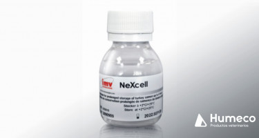 NeXcell, nuevo diluyente para semen de pavo