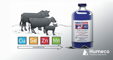 MULTIMIN, un suplemento inyectable de zinc, manganeso, selenio y cobre