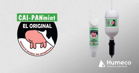 CAI-PAN®mint, la crema tonificante para el cuidado de la ubre