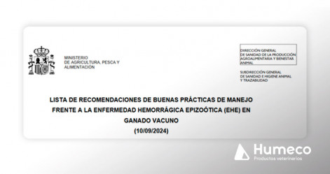 Buenas prácticas de manejo frente a la enfermedad hemorrágica epizoótica (EHE) en ganado vacuno